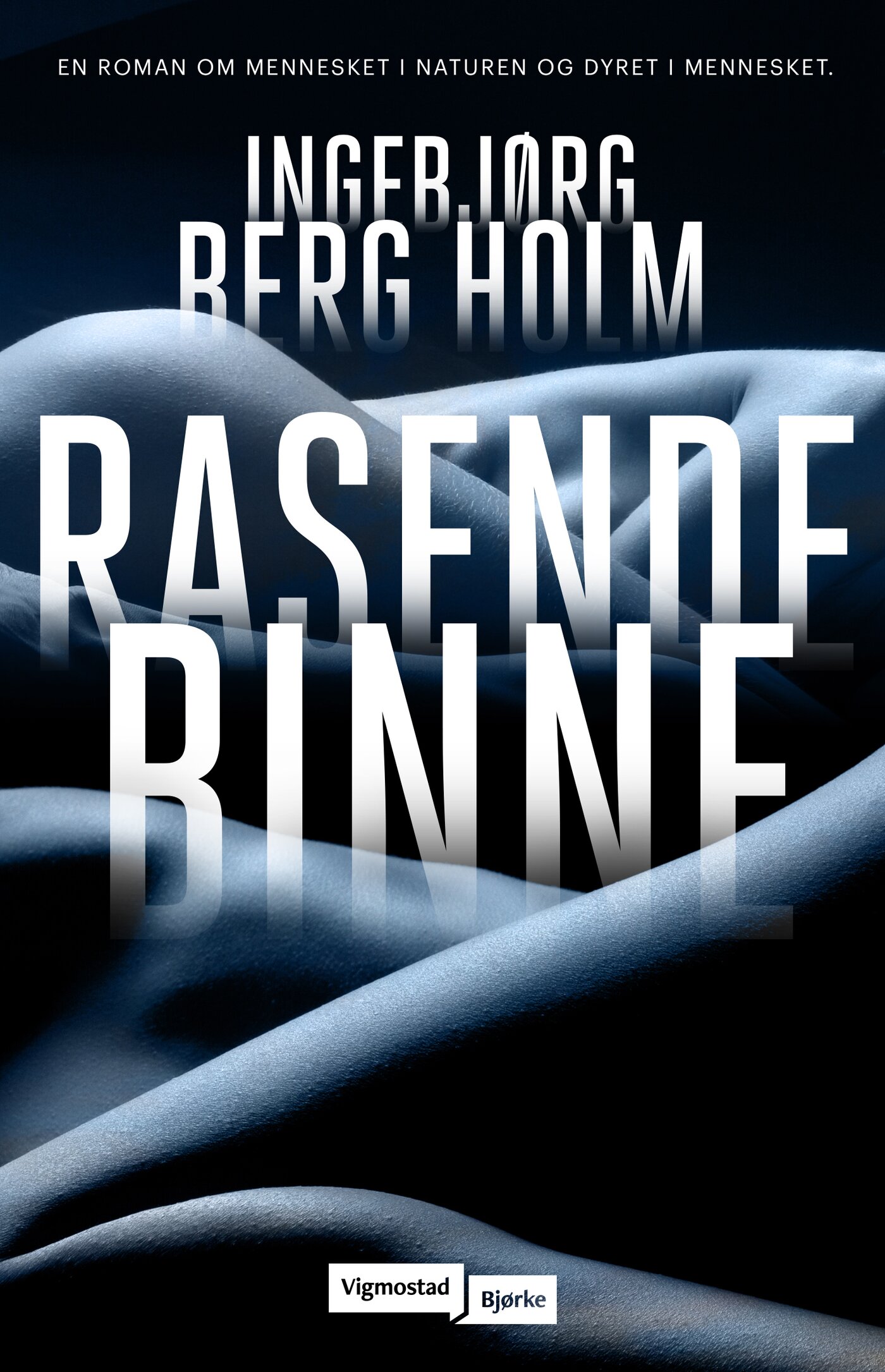 Rasende binne promoforside